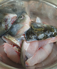 ����������ʳ