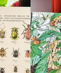 收藏级别的大自然图鉴,太漂亮了