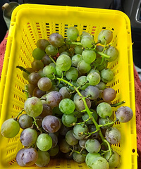 �����ֵľ޷����ѽ���100����