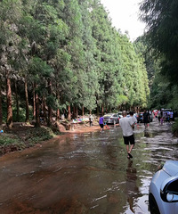 �ɸ��ֳ�ˮ�Ϲ�·һ���Σ����ϳ��е�࣬ˮ�ܻ���