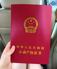 ����һ�꣬��԰�ոĳɹ��³�����̳�ҵ�����̫����