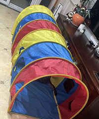 ����ʹ��10Ԫ�㻨Ǯ��è��������������ɽ��