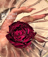 ����Ͷι��õ�廨�裬1���ܺ�1�£����̲軮��