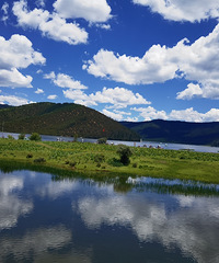 ���µ����������һ�������Ļ��������20��Ǯ10֧