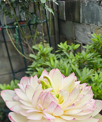 ���˼���Ļ���������������