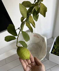 ˭���Ⱦ��ҵ���ˮ���� ������2���£�ȫ����