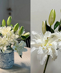 �������ذ�ٺϺ������������Ĺ���