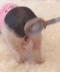 ������ֵ���򡿿ⲩ��ѧ����30Ƭ52���⽻��������269