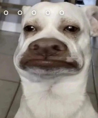 [����]���˷ѵ磬����27�Ȼ����䣬����յ����б�Ҫ����