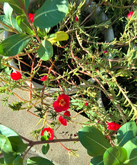 �������Ļ���������ըѽ���ѹִ�̫����ȥ��ˮ