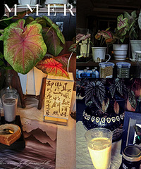 ֲ������õ����մ��ӣ�һ�¾��з�Χ��