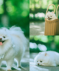 �������ĵ���̫�ÿ����������ֻ���ֽ��