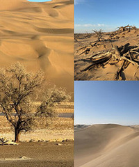 ÿ��ͽ��20����򿨰͵�����ɳĮ