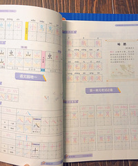 一杯奶茶钱搞定孩子的难题,练字复习预习一举拿下