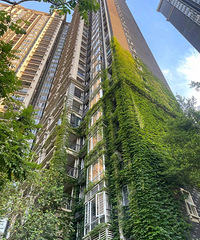 �ⶰ¥������ɽ������һ���ˣ���ҵ����������