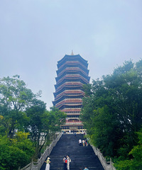 ���Լ�ϲ�����£���������߽����ﾸ����������Ȼɭ������