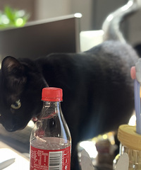 ͬ��͵�ȿ��֣����������ֱ�ӿ�ʼ��������