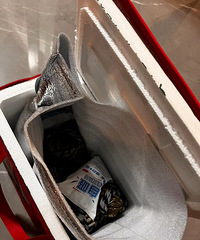 �ڼ��������»ƴ�բз������������ζ