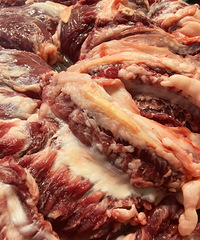 ���˽ڣ��ҵ�С���Ƽ�¼��