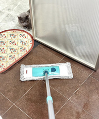 ������è���������˶�ʮ��������õ��ϰѣ�