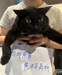 [��]��Ȼ���˵����ǹ�˾׷�ǣ�Ϊ�˼��ϰ�Ķ���ר����̸ҵ��