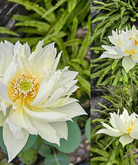 ���˼���Ļ���������������