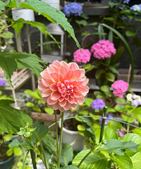 ����3������������ڿ�����