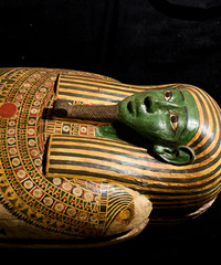 [��Ȥ]�Ϻ�����������չ���е���˼���ܴ�èһ��䣬�����ܱ���