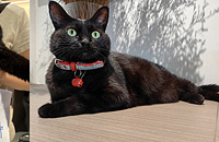 �ϰ�Ķ���Ϣ�ˣ��з�˿Ϊ��������˾̸ҵ�񣬼���