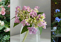 ɹɹ�����ֹ��Ļ����л�ľ�����19.8����ֵ