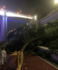 ����������