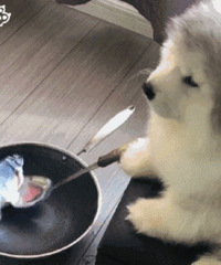 ������ֵ��������һͷţ��ѡ3��69��֪ζ���±����39