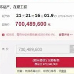 北碚悦榕庄将被法拍