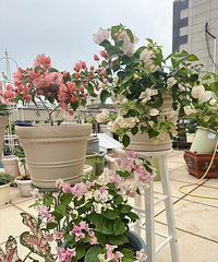 ��������죬�ʺ������ֻ������ܾ���סɹ