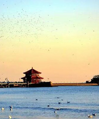 重庆出发去看海!这些地方动车直达