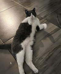 è��Ϊû���յ��������ĵú�