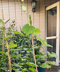 37�ȸ����죬��ս���޻��������ѻ�����