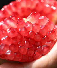 ������ɱ�ۣ���������ʯ�񣬻���ȥ���Ǽ�����԰��