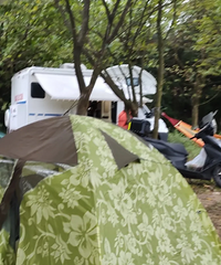 ¶Ӫ�ؾ�����һ�ҵĳ�̫��Ҷ��е㲻����˼