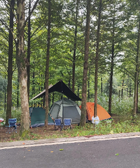 ¶Ӫ�ؾ�����һ�ҵĳ�̫��Ҷ��е㲻����˼