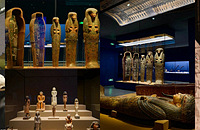 �Ϻ�����������֮��չ�����ܴ�è��һ��䣬����˼