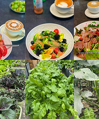 ÿ�����ɳ���������Լ��ֵĲ��濪��