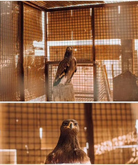 ���ľ���Ұ���񱻲��ϣ�����ʮ����綼û����