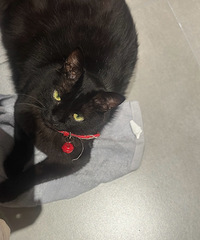 ���è���Ͽ����ˣ���׷�����ӣ�������ѷ�