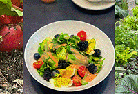 ¥���ֲ˿��ֶ࣬�߲�����ÿ�����ɳ����������