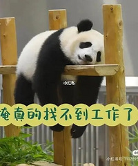 [ѹ��]�Ҳ��Ժ��ζĳ飬Ŭ���������ǳ���Լ�����Ҹ�ĸ��������