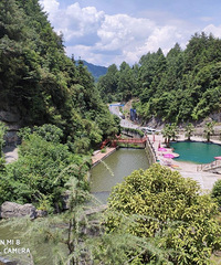 ����ͩ���������Ծ�㣩�ͼ�ת��