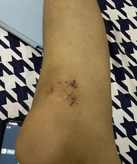 ���ӽ�����ѵѧУ������ˮ��ͷ������Ź������