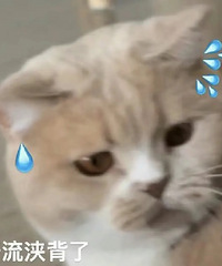 ����������ɳ�ƣ�40��+���¶������������ﺹˮ