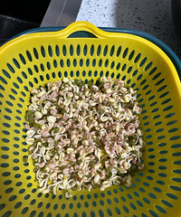 �̶�ѿ�����̶������𣿣�